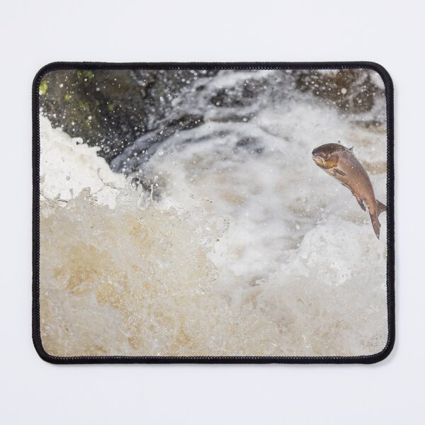 Item preview, salmon fish leaping designed and sold by chanonry.