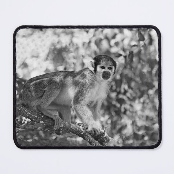 Item preview, r985 / New Finition 2021- le SAÏMIRI  (c)(h) Olavia-Olao Okaio Créations designed and sold by o.okaïo.