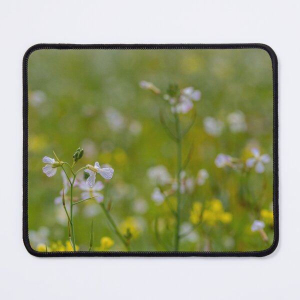 Blumenwiese im Herbst Mauspad
