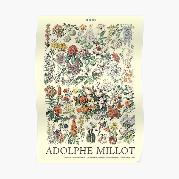 Blumenposter Poster