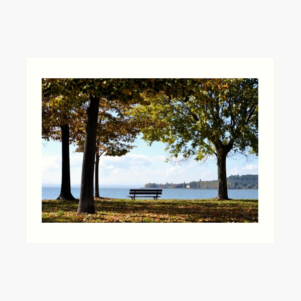 Bench beneath the autumn trees Art Print