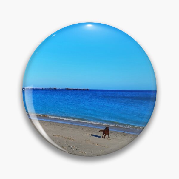 Item preview, The Three-legged Dog and the Beach | Rapid Bay | South Australia designed and sold by iwaya-bazaar.