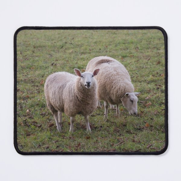 Item preview, Sheep Grazing designed and sold by Duane Gamble (Creative Photo Products).