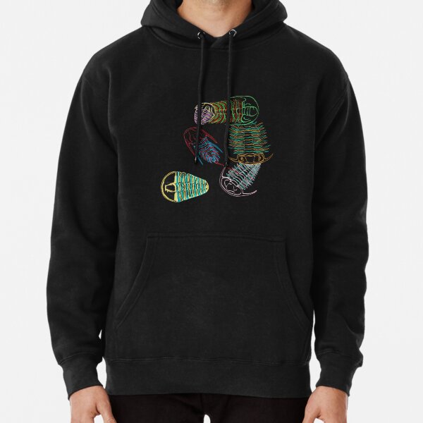Cambrian Era Trilobites 2 Pullover Hoodie