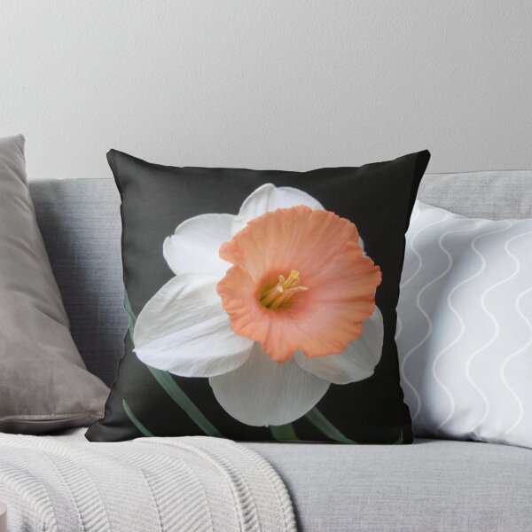 Item preview, Soft Orange and White Daffodil designed and sold by Kathleen Brant.