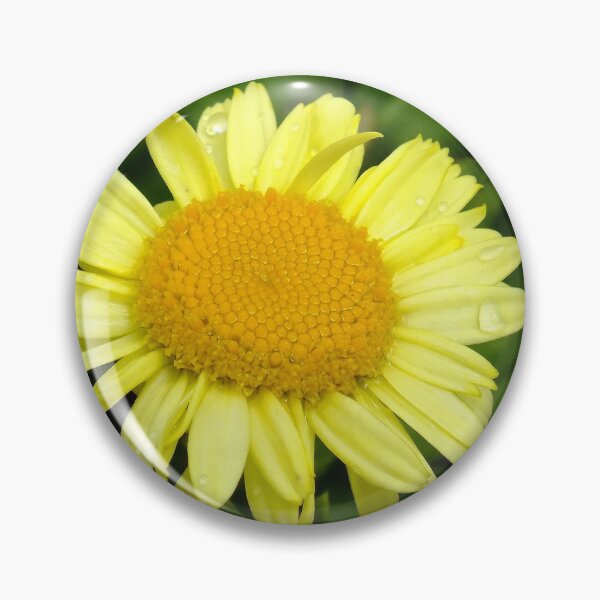 Item preview, Mellow Yellow designed and sold by Bill Morgenstern.
