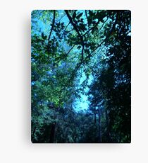 The Window Canvas Print