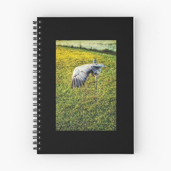 Item preview, Sand Hill Crane designed and sold by Jennifer Phipps.