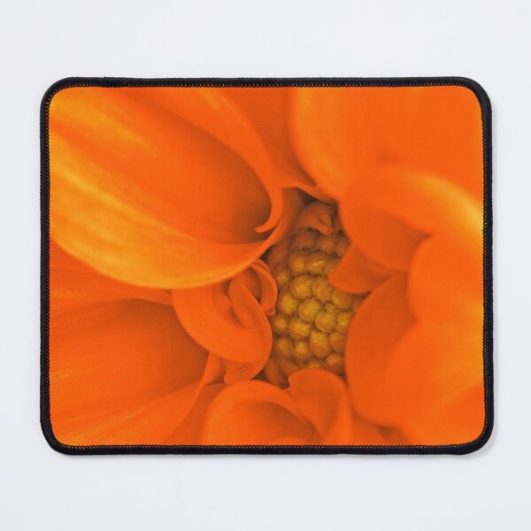Item preview, Soft Curves designed and sold by Bill Morgenstern.