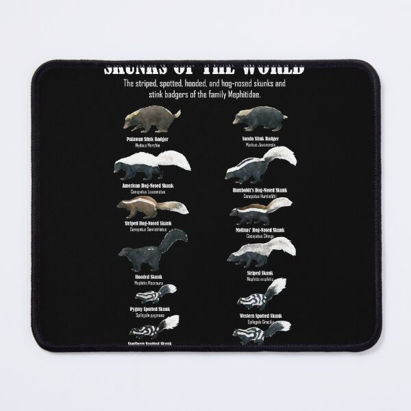 Item preview, Skunks of the World - Mephitidae Animal Species designed and sold by roxy7922.