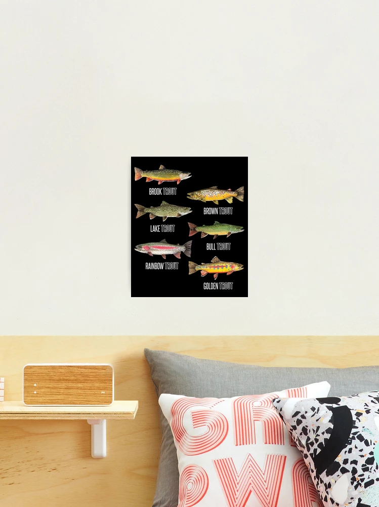 Trout Hook Pillow - Stocklist Goods & Gifts