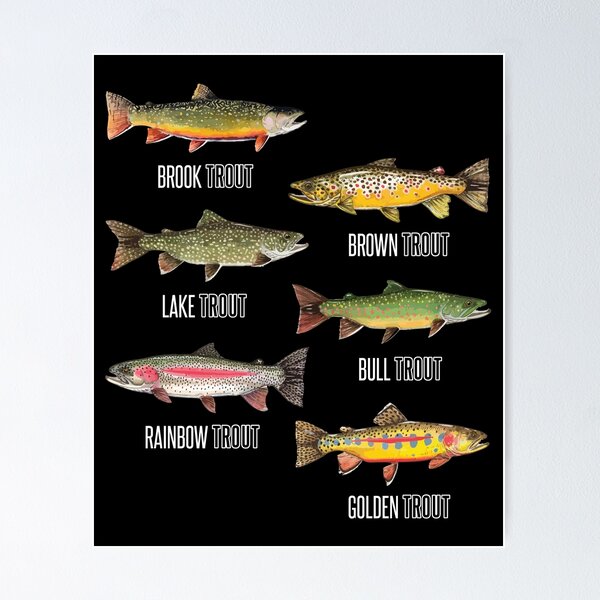 Trout baby child fisherman fishing family river fish White Wall Art Decor  Funny Gift