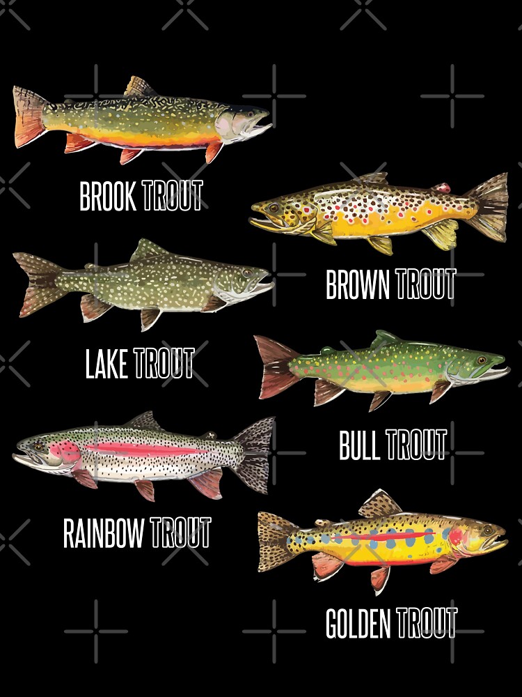 Wholesale rainbow trout For Every Animal Species 