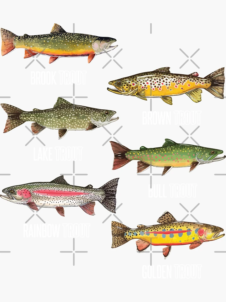 Types of Trout Fish Species Fishing Gift Baby One-Piece for Sale
