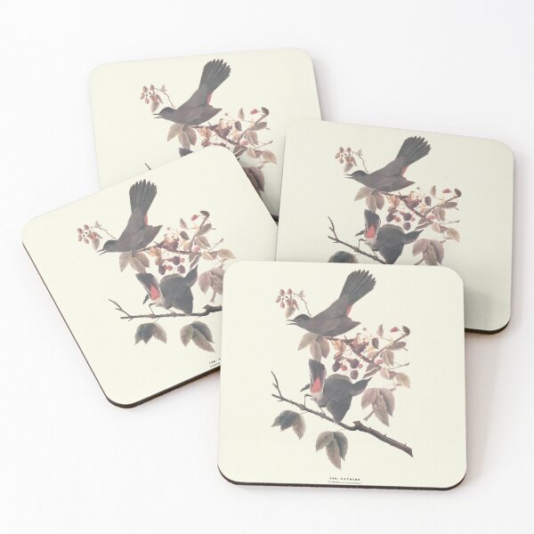 Item preview, Catbird - Audubon designed and sold by sanerevolution.