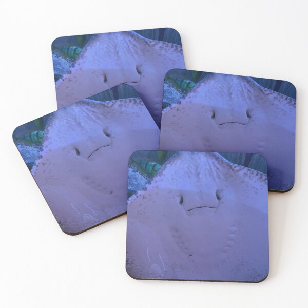 Item preview, Sting ray designed and sold by lol1310.