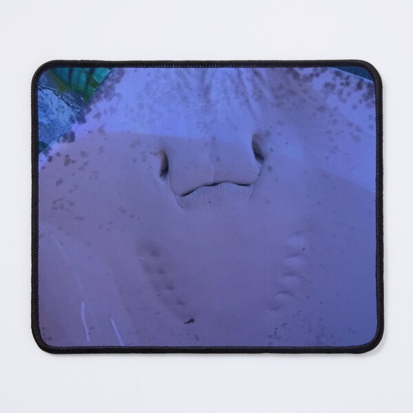 Item preview, Sting ray designed and sold by lol1310.