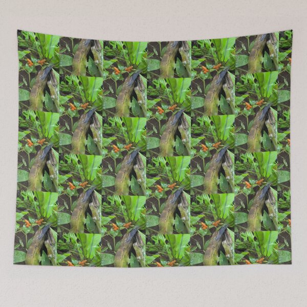 Item preview, Orange frogs  designed and sold by lol1310.