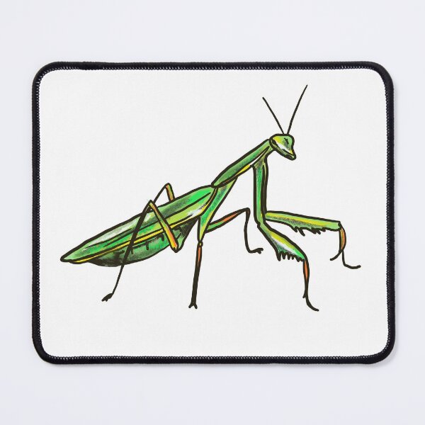 Item preview, Praying Mantis designed and sold by Allison Campbell.