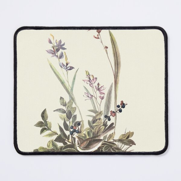 Item preview, Field Sparrow - Audubon designed and sold by sanerevolution.