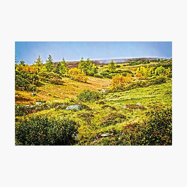 Alpenvegetation Fotodruck