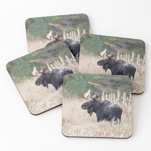 Item preview, Bull Moose designed and sold by mlorenz.