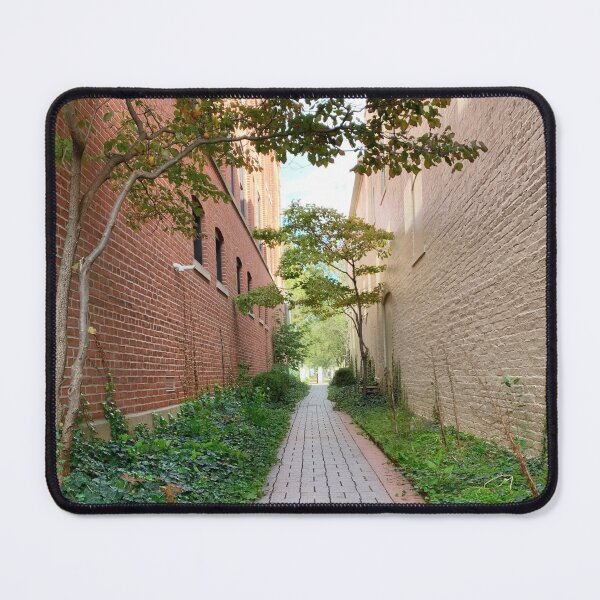 Item preview, A Walk Down Memory Lane designed and sold by B. P..