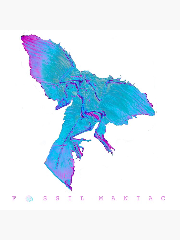 "Blue Archaeopteryx Fossil " Poster by FOSSILMANIAC Redbubble