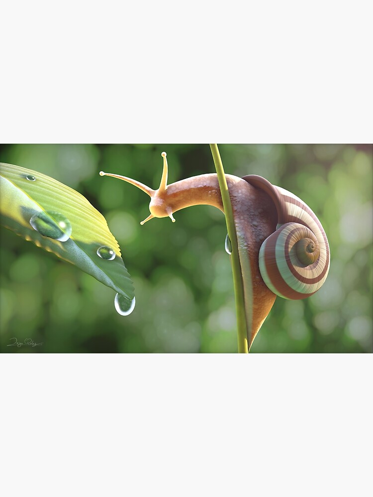 Snail by InigoQuilez
