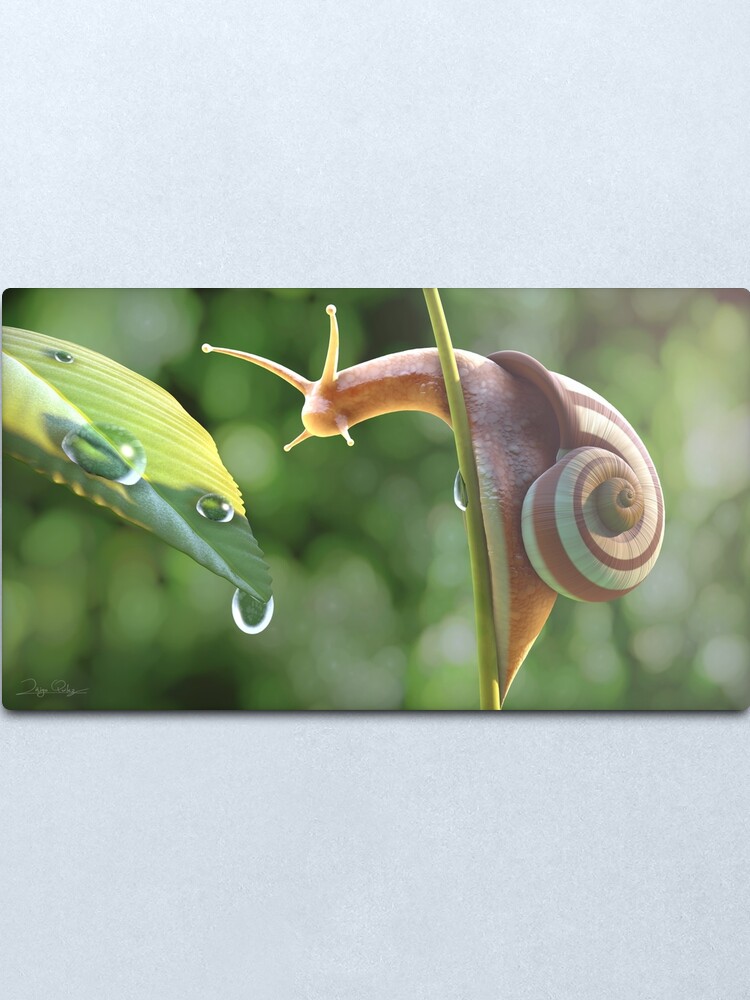 Alternate view of Snail Metal Print