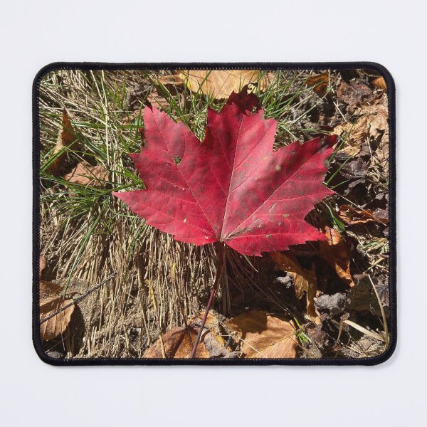 Item preview, Fall designed and sold by KnucklesArt.