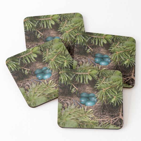 Item preview, Spring Robins Nest designed and sold by Duane  Gamble (Creative Photo Products).