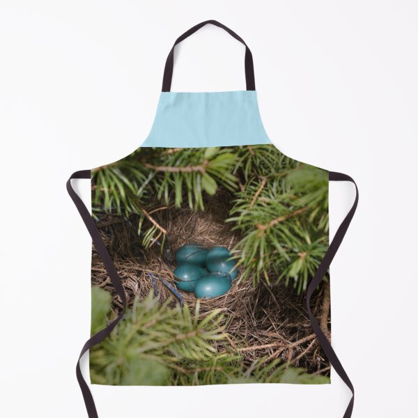Item preview, Spring Robins Nest designed and sold by Duane Gamble (Creative Photo Products).
