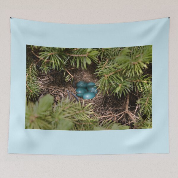 Item preview, Spring Robins Nest designed and sold by Duane  Gamble (Creative Photo Products).
