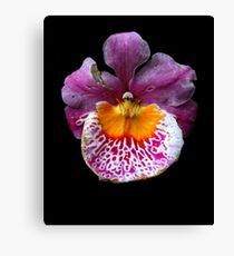 Unique Orchid Canvas Print