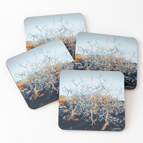 Item preview, Photograph of a dry desert plant and a clear blue sky in the background taken in southwest of Morocco  designed and sold by Alahyane Said.