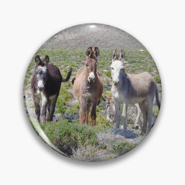 Item preview, Wild burros, donkeys, wildlife, Nevada, Treasures of Marietta designed and sold by Sandra O'Toole.