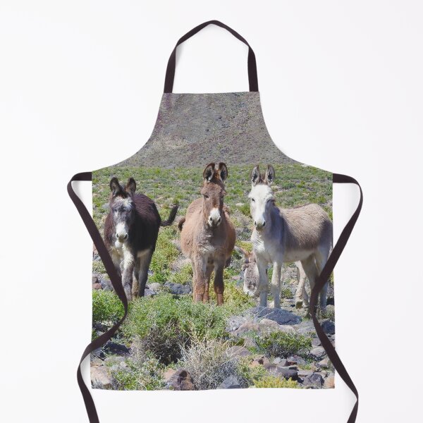 Item preview, Wild burros, donkeys, wildlife, Nevada, Treasures of Marietta designed and sold by Sandra O'Toole.