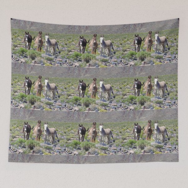 Item preview, Wild burros, donkeys, wildlife, Nevada, Treasures of Marietta designed and sold by Sandra O'Toole.