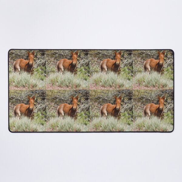Item preview, Wild Horse, foal, wildlife, Precious Babe designed and sold by Sandra O'Toole.