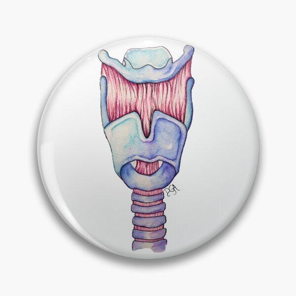 Item preview, Larynx Anatomy designed and sold by DanielaGaleanoA.