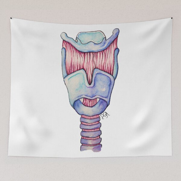 Item preview, Larynx Anatomy designed and sold by DanielaGaleanoA.