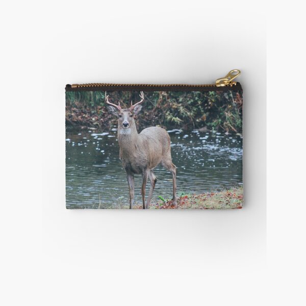 Item preview, Visiting Deer. designed and sold by danielledoesart.