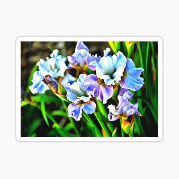 Item preview, Painterly Purple and Cream Iris  designed and sold by SeaChangeDesign.