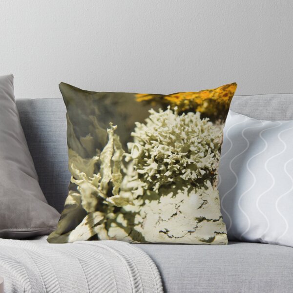 Item preview, Lichen designed and sold by PeterWhy.