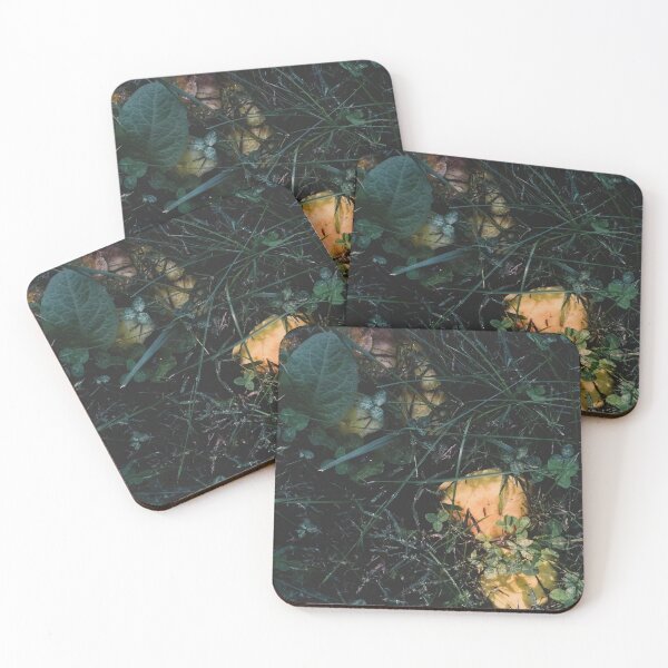 Item preview, Unknown Mushrooms in the Grass designed and sold by elizab3thaf.