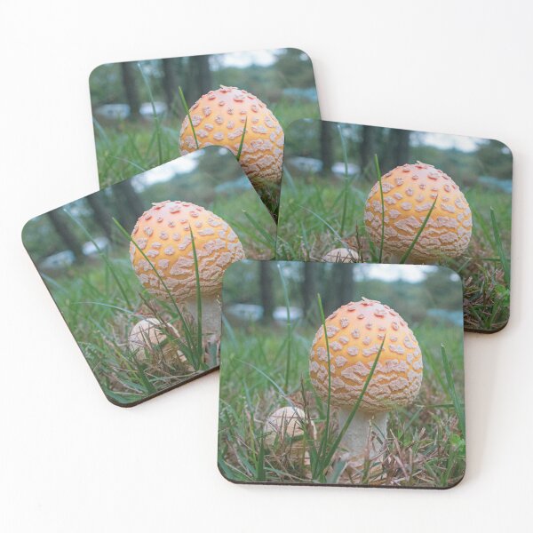 Item preview, Amanita Flavoconia designed and sold by elizab3thaf.