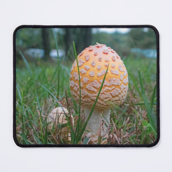 Item preview, Amanita Flavoconia designed and sold by elizab3thaf.