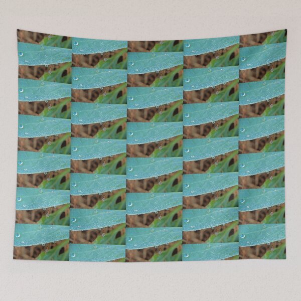Item preview, Cabbage Leaf Dew designed and sold by Bill Spengler's Photographic Thoughts.