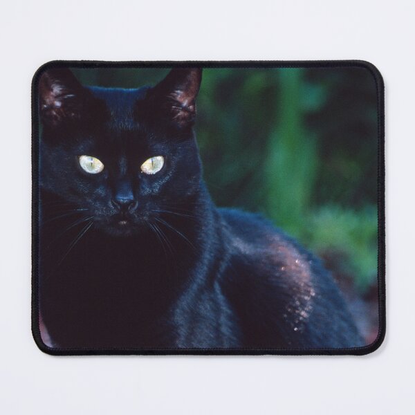 Item preview, Ebony Posing (finally) designed and sold by Bill Spengler's Photographic Thoughts.